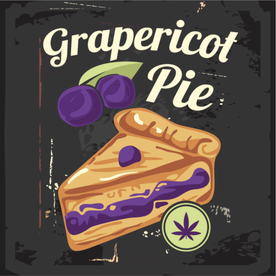 Grapericot Pie Feminized