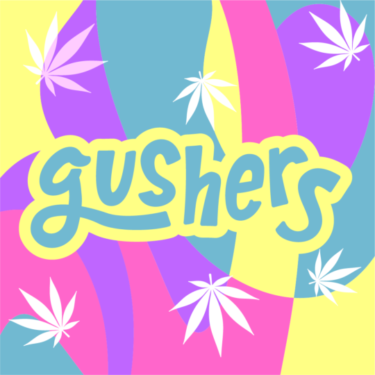 Gushers Feminized Seeds