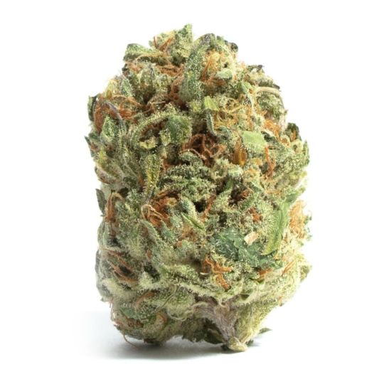 CBD Harlequin Kimbo Kush Fast Version Seeds