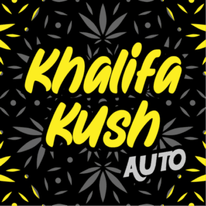 Khalifa Kush Autoflower Seeds