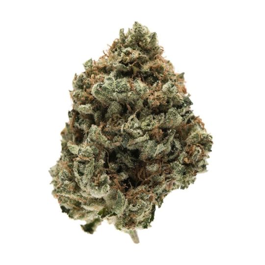 Kosher Kush Feminized Seeds