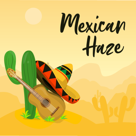 Mexican Haze Feminized Seeds