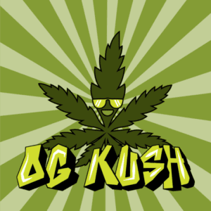 OG Kush Feminized Seeds