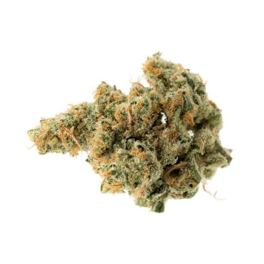 Buy OG Kush x Amnesia Feminized Seeds by Supreme Genetics in America ...