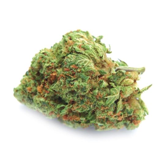 Orange Bud Feminized Seeds