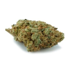 Panama Feminized Seeds