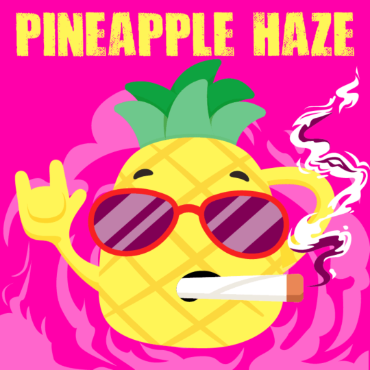 Pineapple Haze Feminized Seeds