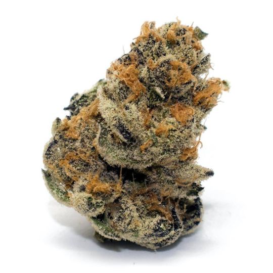 Platinum Cookies Feminized Seeds