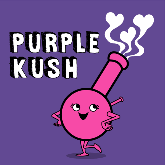 Purple Kush Feminized Seeds