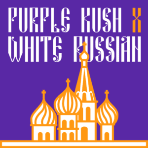 Purple Kush x White Russian Feminized Seeds