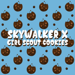 Skywalker x Girl Scout Cookies Feminized Seeds