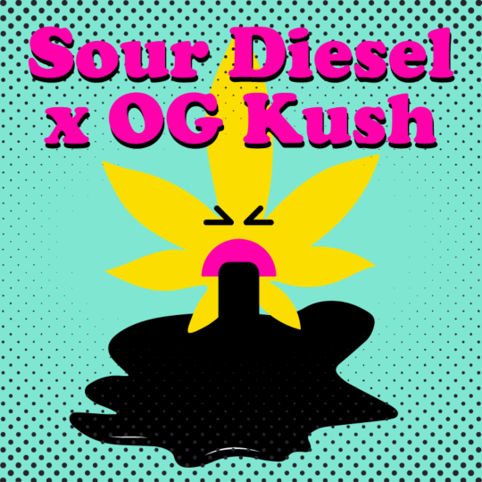 Buy Sour Diesel x OG Kush Feminized Seeds by Supreme Genetics in ...