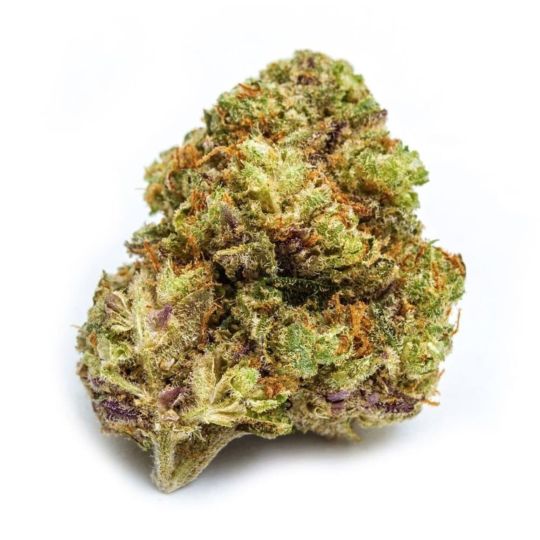 Stardawg Feminized Seeds