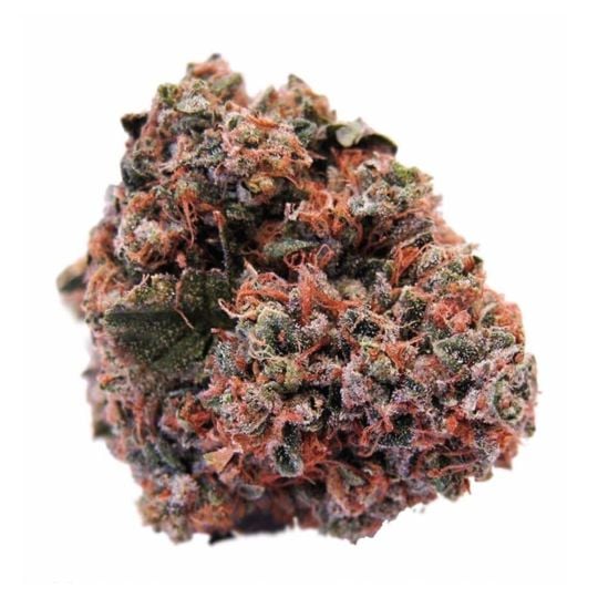 Buy Strawberry Cough Feminized Seeds by Supreme Genetics in America ...