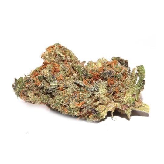 Sunset Sherbet Feminized Seeds