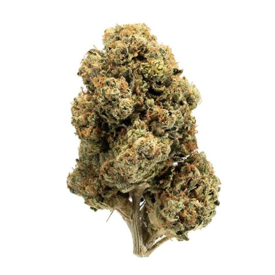 Triangle Kush Feminized Seeds