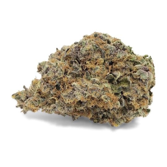 Tropicana Cookies Purple Feminized Seeds