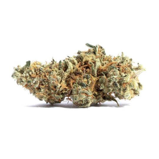 White Amnesia Feminized Seeds