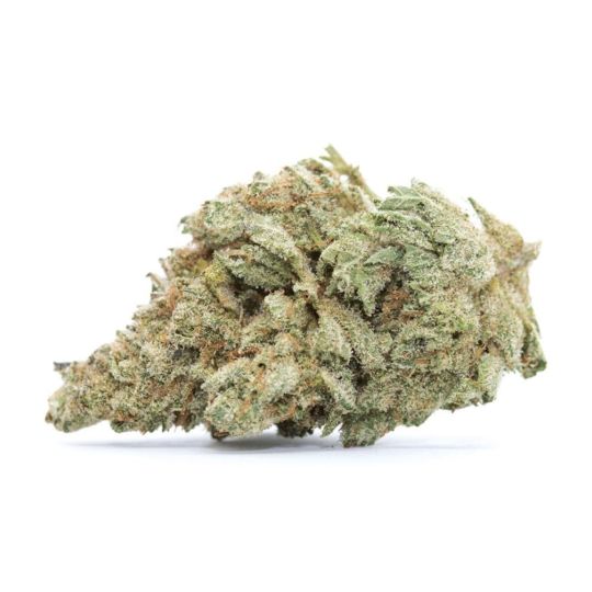 White Russian Feminized Seeds