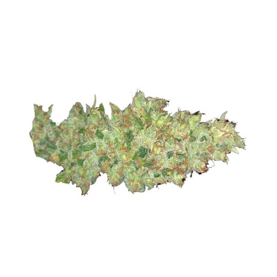 White Widow x Crystal Meth Autoflower Seeds