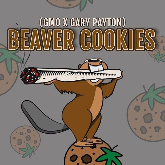 Beaver Cookies Feminized Seeds