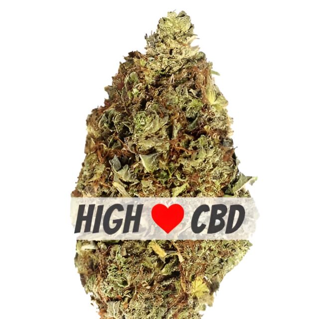 OG Kush CBD Feminized Seeds