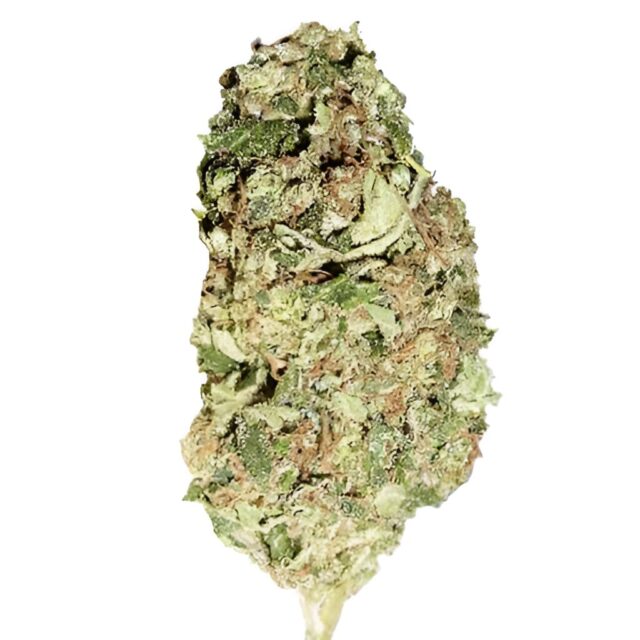 Sour Diesel Feminized Seeds