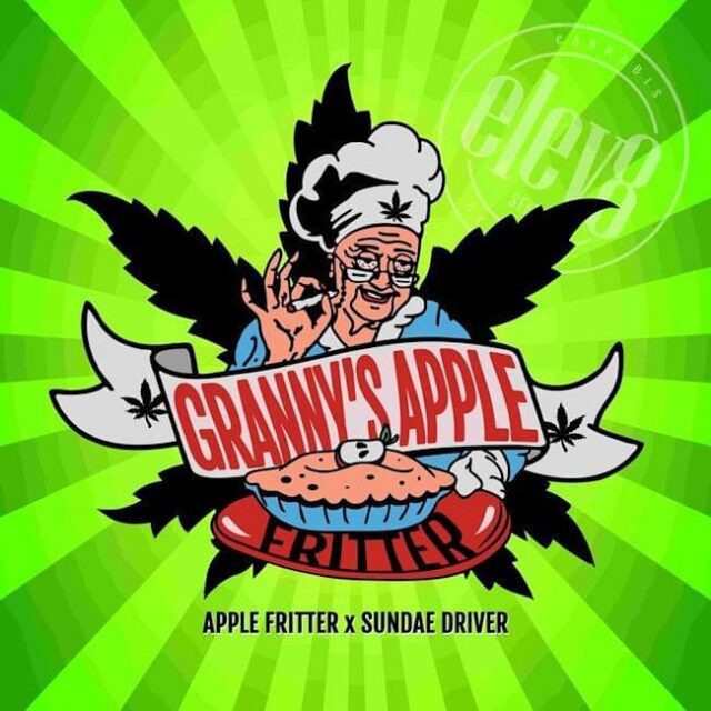 Granny's Apple Fritter Feminized Seeds