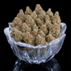 Rosetta Stone Feminized Seeds