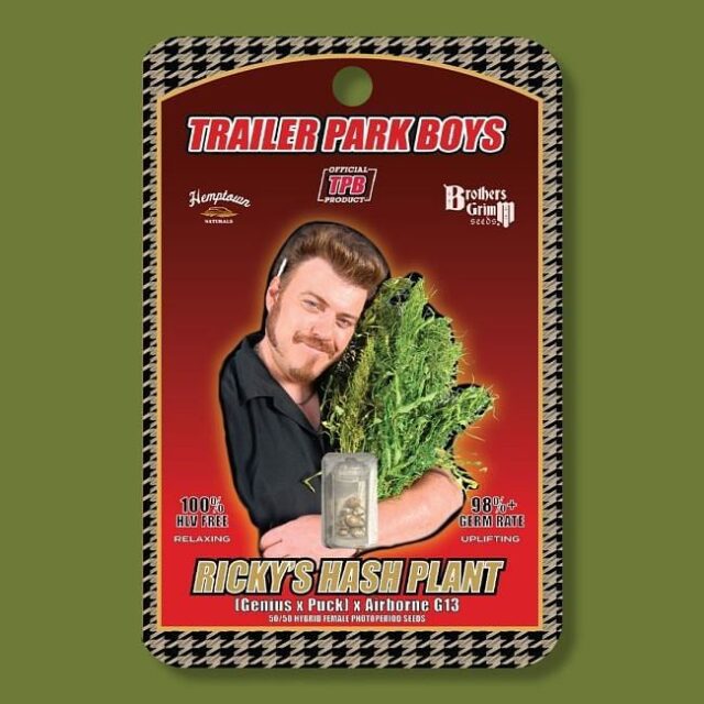 Ricky's Hash Plant Feminized Seeds