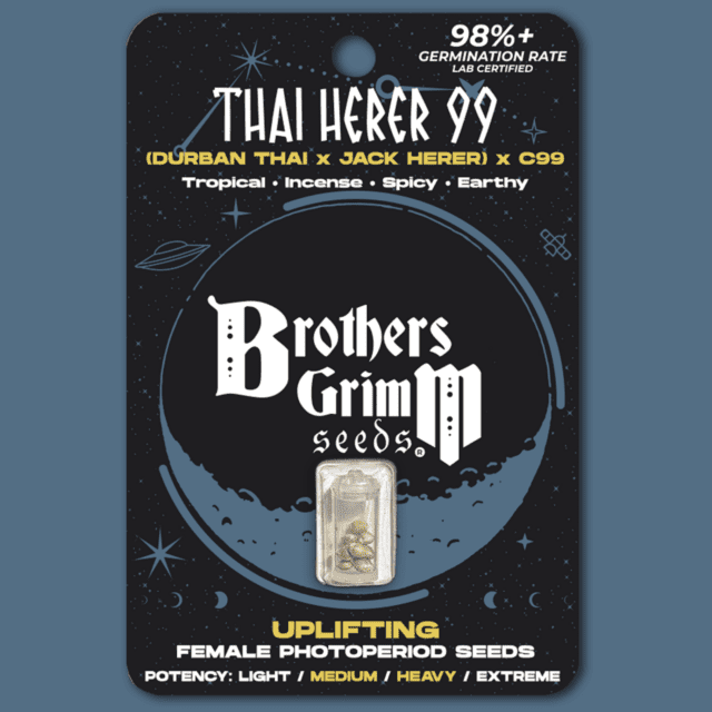 Thai Herer 99 Feminized Seeds