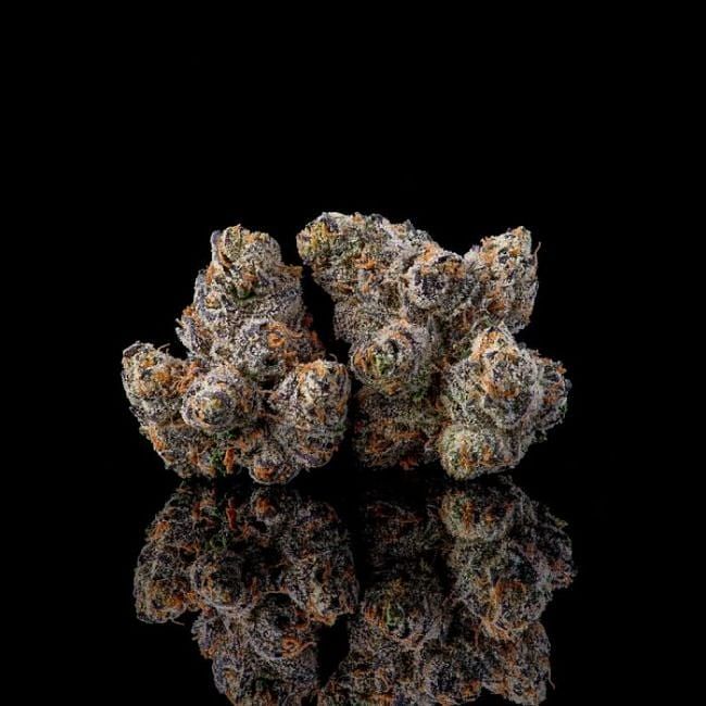 Runtz Carlton Feminized Seeds
