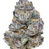 Rainbow Melon Feminized Seeds