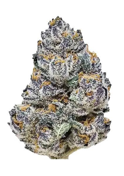 Rainbow Melon Feminized Seeds
