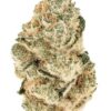 Gorilla Melon Feminized Seeds