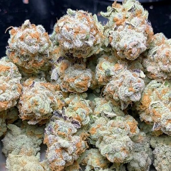 Slurricane #7 S1 Feminized Seeds