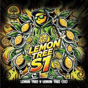 Lemon Tree S1 Feminized Seeds