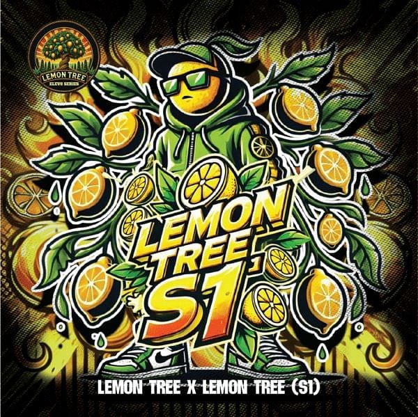 Lemon Tree S1 Feminized Seeds
