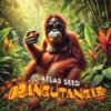 Orangutangie Feminized Seeds