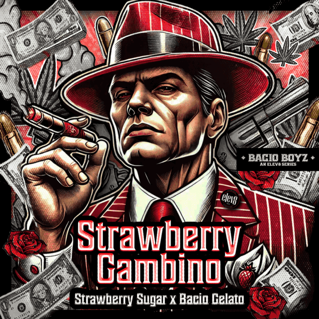 Strawberry Gambino Feminized Seeds