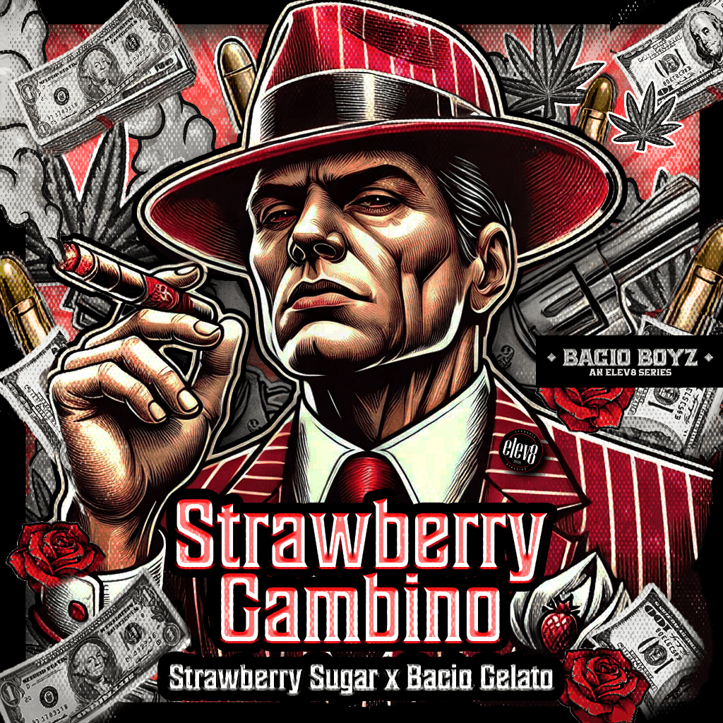 Strawberry Gambino Feminized Seeds