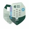 Atlas F1 Auto Feminized Seeds