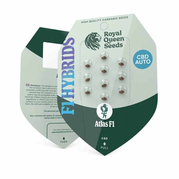 Atlas F1 Auto Feminized Seeds