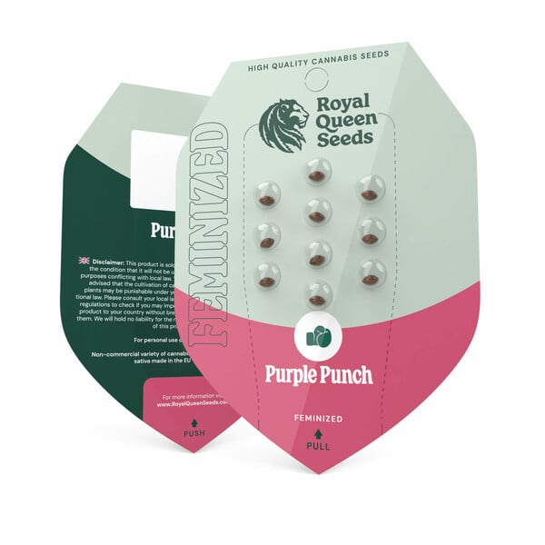 Purple Punch Feminized Seeds
