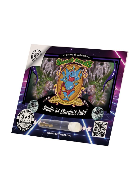 Studio 54 Stardust Auto Feminized Seeds