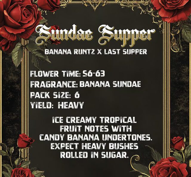 Sundae Supper infographic