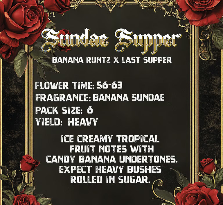 Sundae Supper infographic