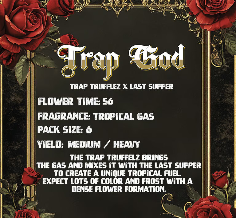 Buy Trap God Feminized Seeds by Solfire Gardens in America - Image 2