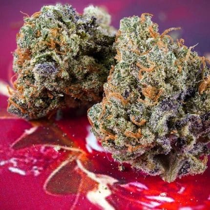 Strawberry Soda Auto Feminized Seeds