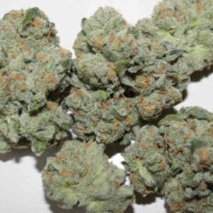 ZaZa Skunk Feminized Seeds